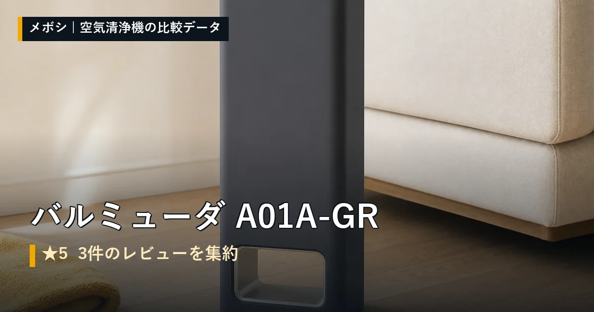 バルミューダ A01A-GRのレビューデータまとめ